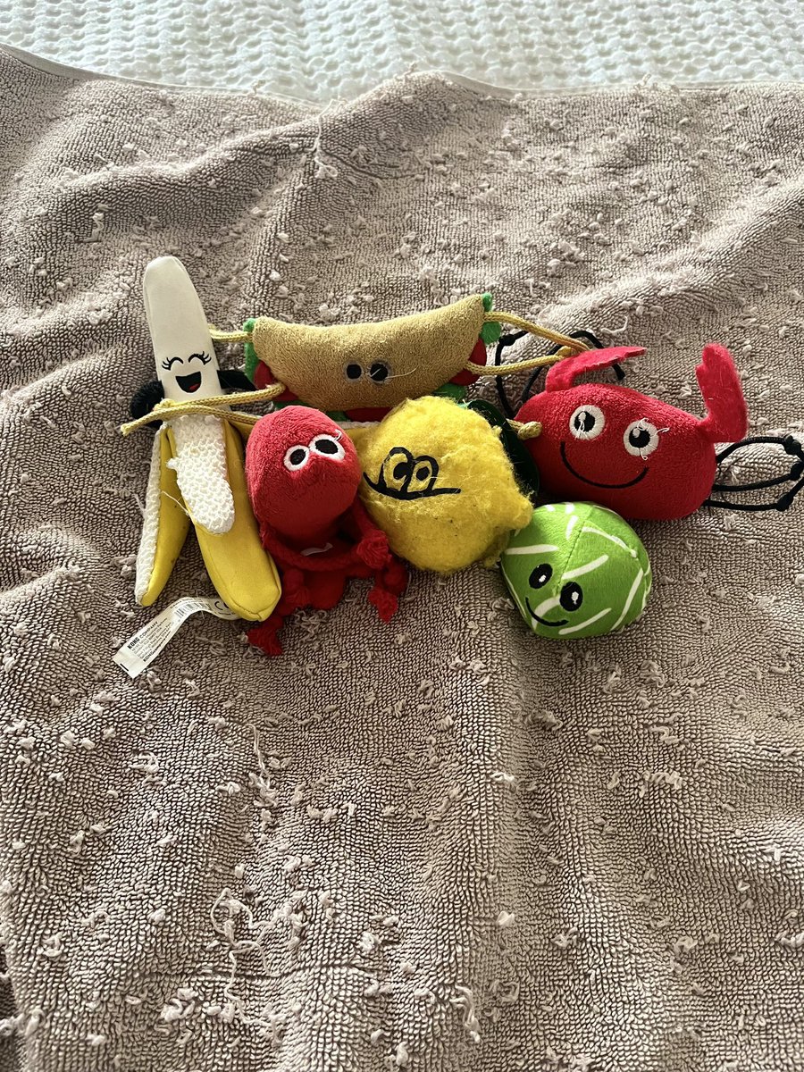 Towely Towel Idriots ❤️ tweet media