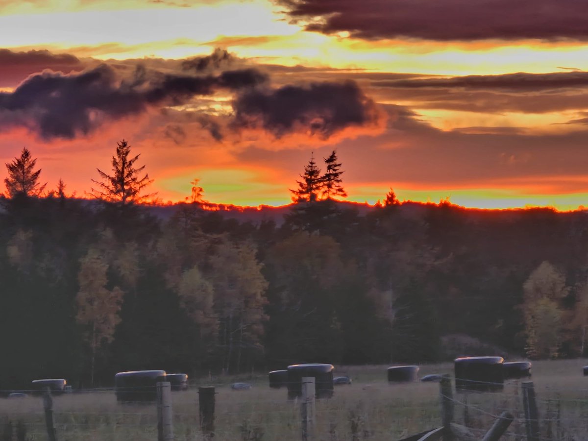 Winton Castle tweet media