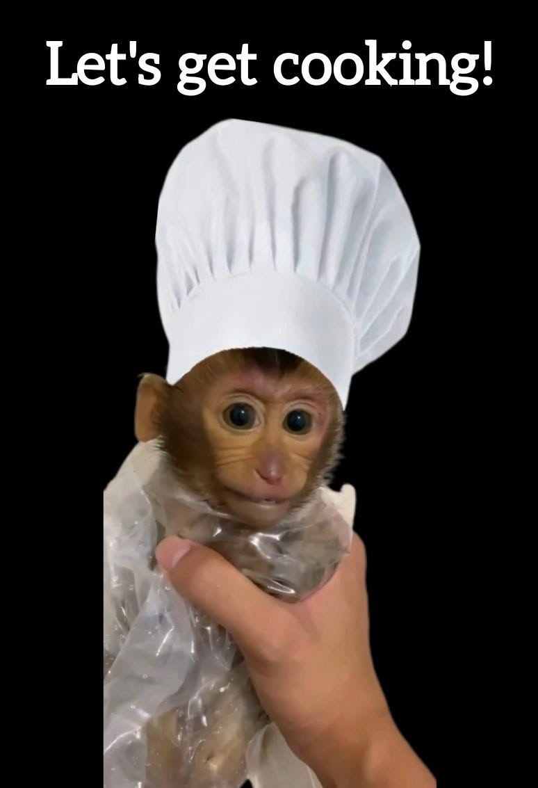 MonkeyHaterLeader (@monkey55901km) on Twitter photo 