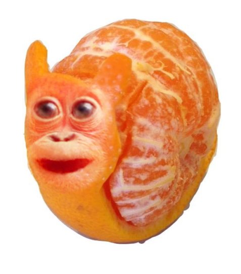 primateluvr tweet media