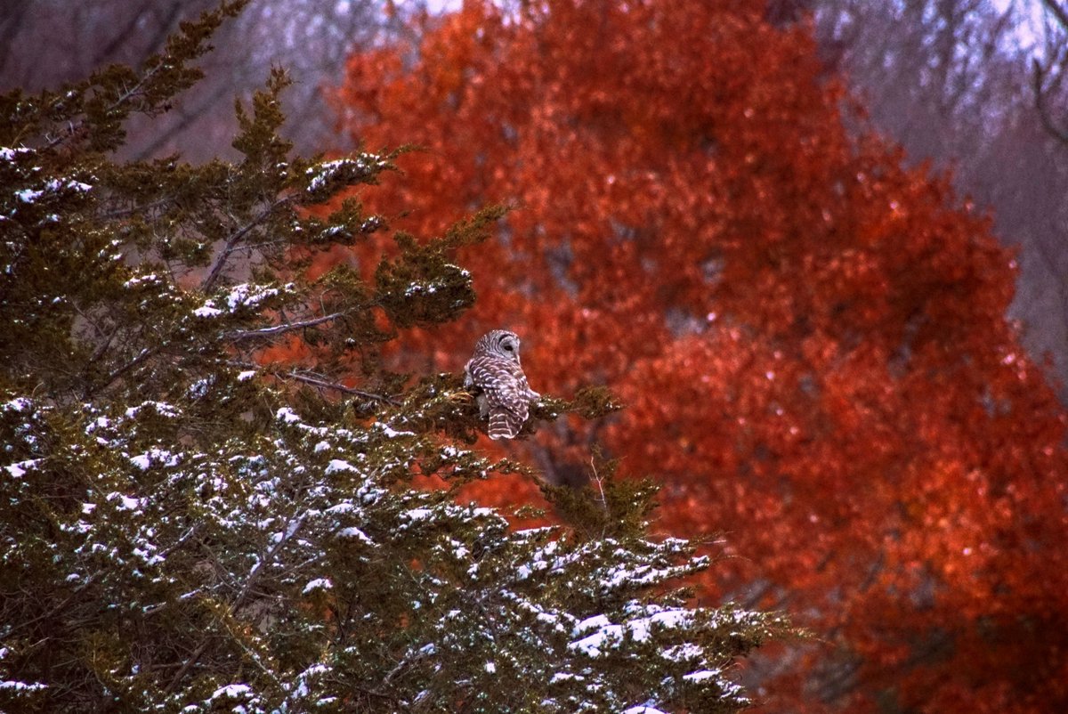 Stuck between seasons.  Nov 10 <a href="/SandbanksPP/">Sandbanks Provincial Park</a>  <a href="/CanGeo/">Canadian Geographic</a>  <a href="/weathernetwork/">The Weather Network</a>  <a href="/OntarioParks/">Ontario Parks</a> <a href="/OntarioTravel/">Destination Ontario</a>  <a href="/ExploreCanada/">Canada</a>