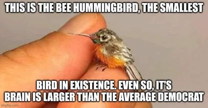 Perfect example of size: