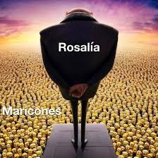 bertopeuve's tweet image. Ayer subí un vídeo diciendo que Rosalía no vocaliza y no me entero de la mitad de lo que dice en sus canciones y he comprendido este meme