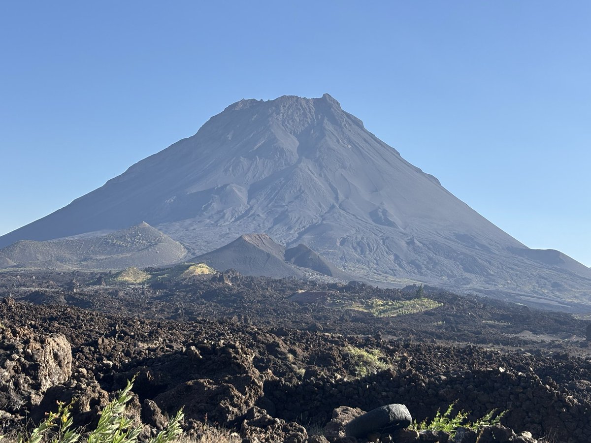 Alfredo Teixeira tweet media
