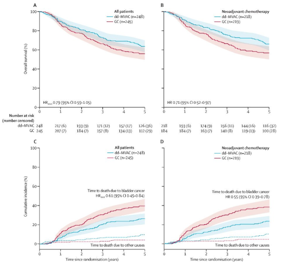 urotoday's tweet image. #MIBC – What you should be doing today and what we will be doing tomorrow. Presentation by @JoshMeeks @NUFeinbergMed. #LUGPA2025 written coverage by @zklaassen_md @GACancerCenter &amp;gt; bit.ly/4ozyvMV @UrologyUS