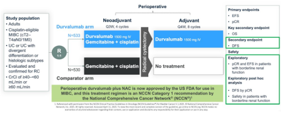 urotoday's tweet image. #MIBC – What you should be doing today and what we will be doing tomorrow. Presentation by @JoshMeeks @NUFeinbergMed. #LUGPA2025 written coverage by @zklaassen_md @GACancerCenter &amp;gt; bit.ly/4ozyvMV @UrologyUS