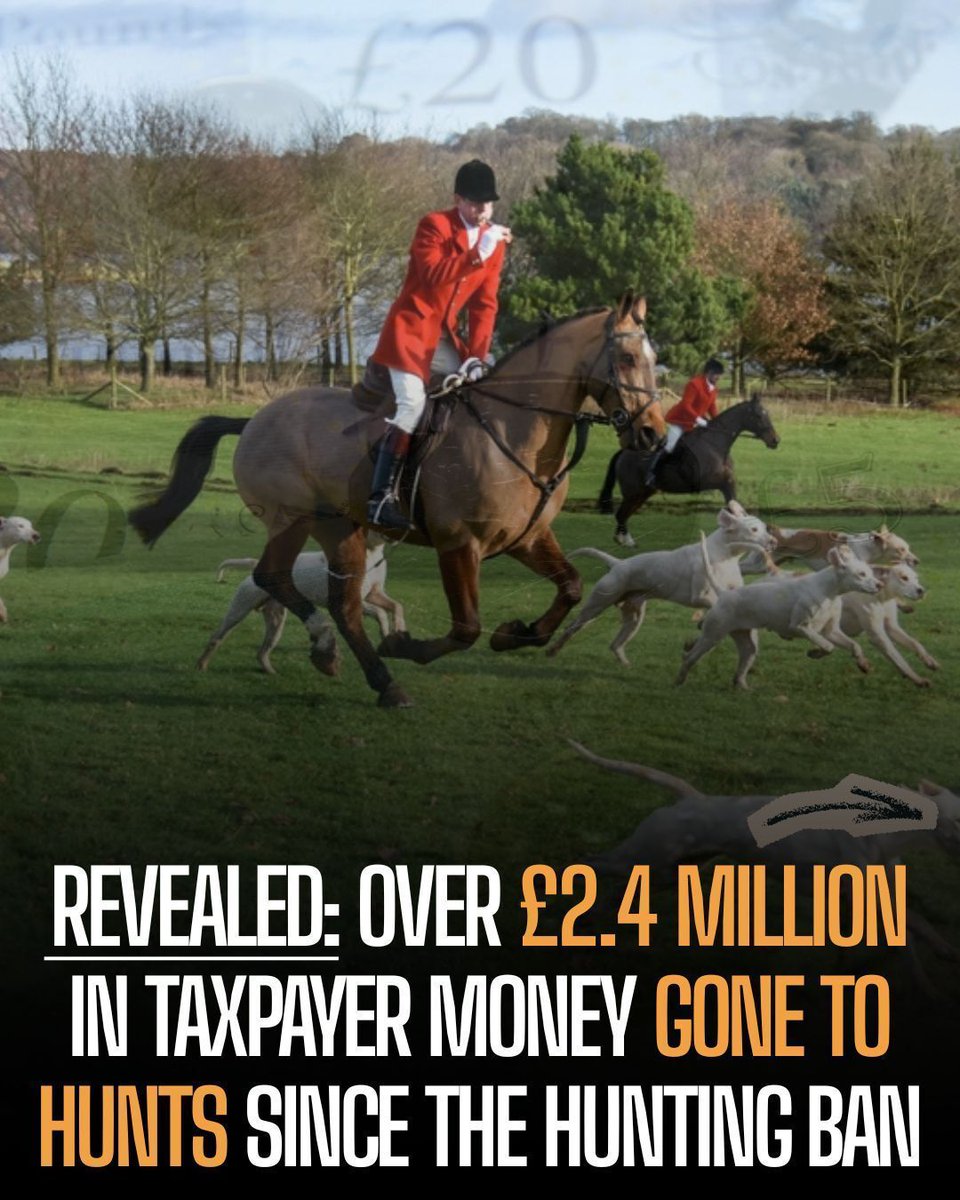 Sickening. Protect the Wild and Grantham Against Bloodsports have uncovered that hunts have received over £2.4 million in taxpayer funding since the hunting ban through subsidies, Covid grants, and tax breaks. The investigation exposes how deeply the hunting industry relies on