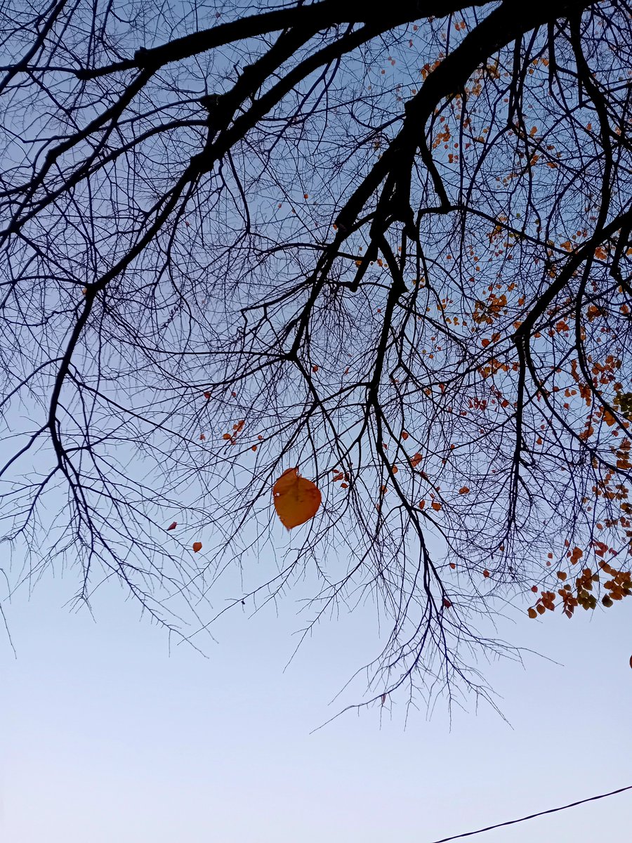 10. XI. 2025, 16:29:12