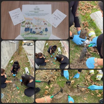 Collage of outdoor tree-planting event with participants in black uniforms and blue gloves digging soil with shovels and rakes near a concrete wall amid fallen autumn leaves. Group of women and girls in school uniforms pose with certificates and a banner reading Kocluk Sertifikasi on a table. Saplings in pots are placed in holes, watered from plastic bottles, and surrounded by planting bags and tools. Young trees with green leaves stand in the ground next to participants kneeling and smiling. Another collage shows close-ups of gloved hands pouring water into pots, filling soil around sapling roots, and group of diverse women in black attire squatting to plant near a parked white car and fence.