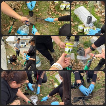 Collage of outdoor tree-planting event with participants in black uniforms and blue gloves digging soil with shovels and rakes near a concrete wall amid fallen autumn leaves. Group of women and girls in school uniforms pose with certificates and a banner reading Kocluk Sertifikasi on a table. Saplings in pots are placed in holes, watered from plastic bottles, and surrounded by planting bags and tools. Young trees with green leaves stand in the ground next to participants kneeling and smiling. Another collage shows close-ups of gloved hands pouring water into pots, filling soil around sapling roots, and group of diverse women in black attire squatting to plant near a parked white car and fence.