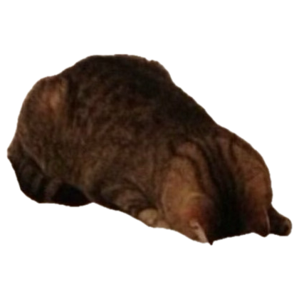 Day5 of Lino not showing his piercing