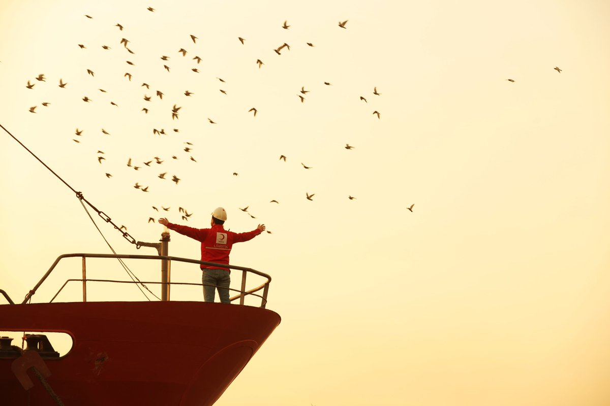 Gazzeli çocukların eskiden resimlerde M yaparak çizdiği martılar; şimdi onlar için uçuyorlar.

Kuşlar göğe, gemiler denize; biz dualarımızla yol alacağız Gazze’ye. 

İyilik gemimiz yükleniyor. ⏳