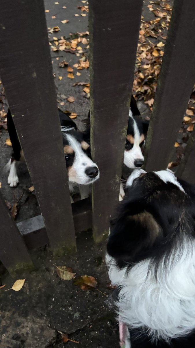 Made two small friends