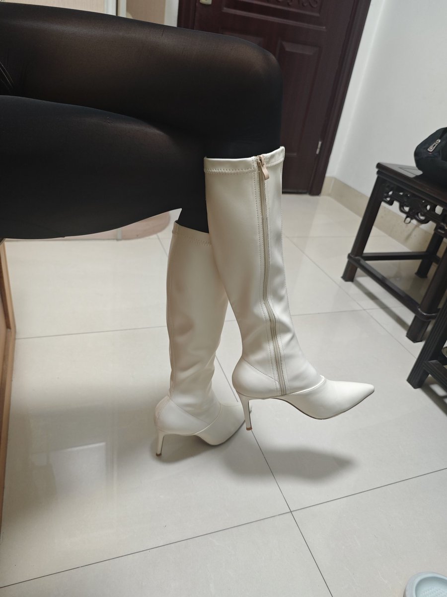 一只月下雪喵噢 tweet media