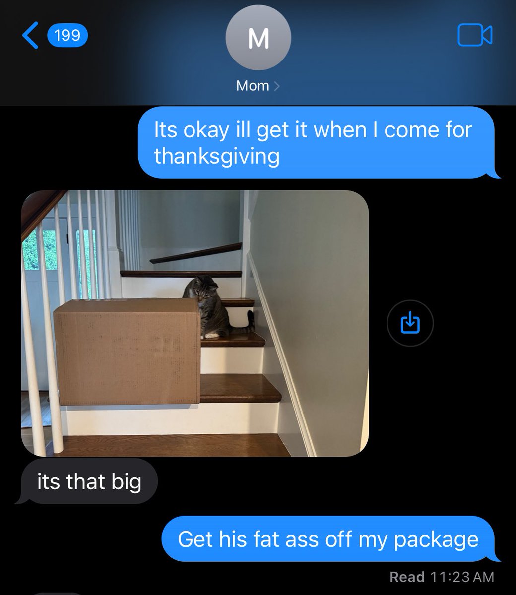 zade 🩵 (@zadtwt) on Twitter photo 