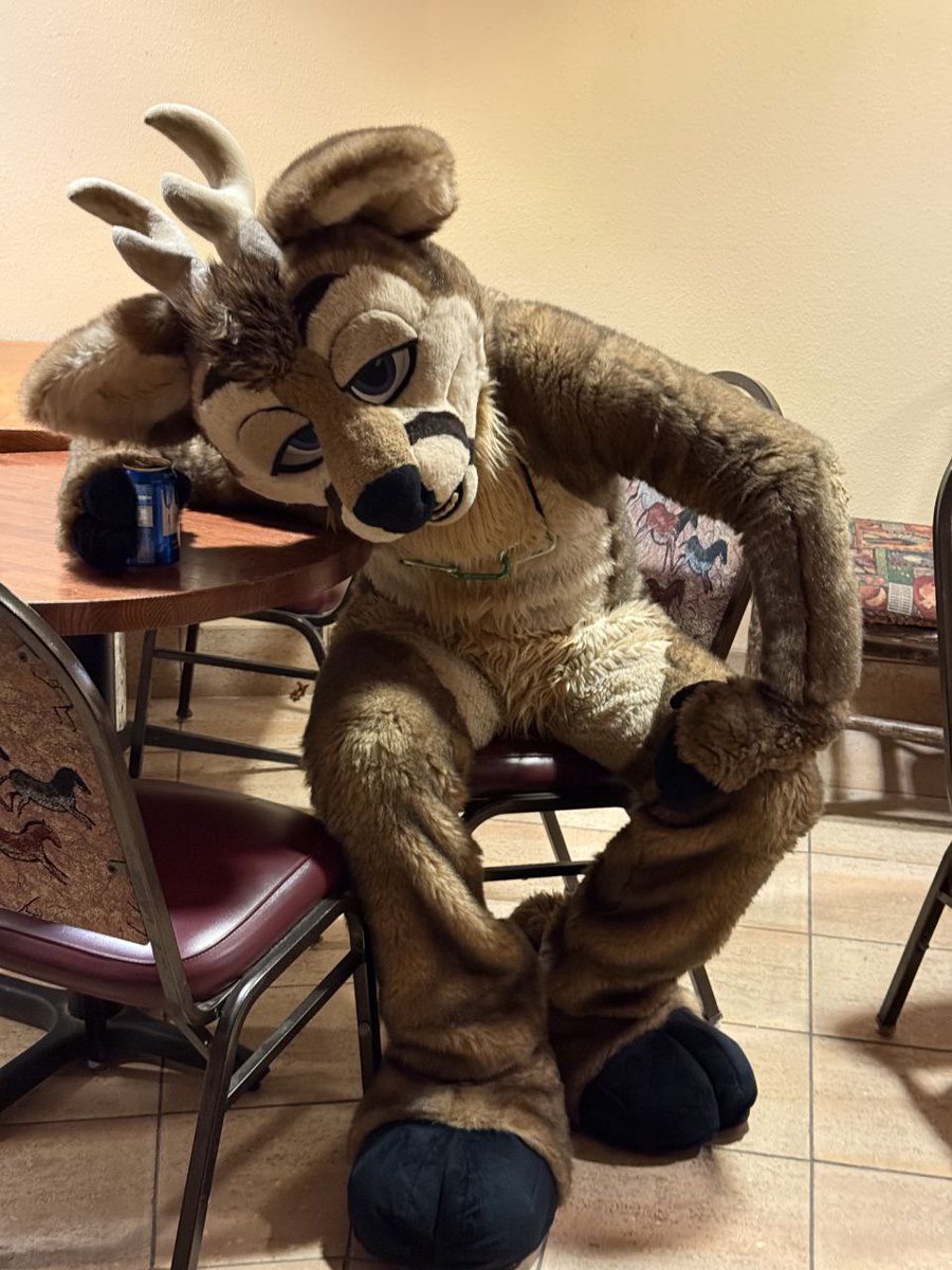 Gamble Weh Deer tweet media