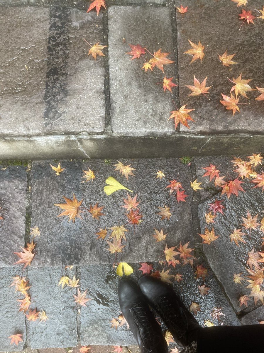 kayowell's tweet photo. 美味しい空気と、鮮やかな紅葉🍁そして、平和を祈りジョン・レノンお気に入りの美味しいパン屋さん🥖#2025軽井沢 #peaceful https://t.co/zsvVqEqF6u