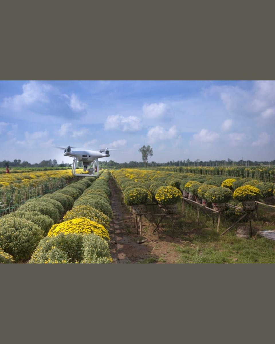 daniel_harary's tweet image. 🚨 The WOW! Signal News for the Week of November 10, 2025🚨
Big Things are Always Happening in the World of Disclosure and Beyond!! 👽✨
** Hollywood Stars Bill Maher, Mayim Bialik and Dan Aykroyd Dive Deep into UAP Media Coverage
** Private Company Claims They Are Responsible…