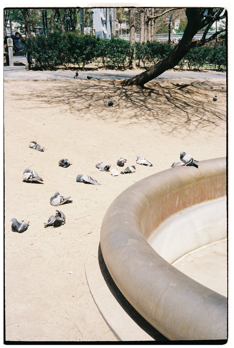 bea.mnz 📸🌸 tweet media