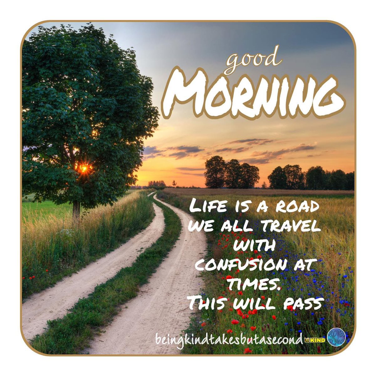 QuotesrusF's tweet photo. 😘❣️ GOOD M☀️RNING Life is a road we all travel with confusion at times. This will pass 🙋🏻♀️ 🐝 KIND
#goodmorning #morning #beekind #teamhumanity #beingkindtakesbutasecond #life #thiswillpass https://t.co/xEfVO9Udcq