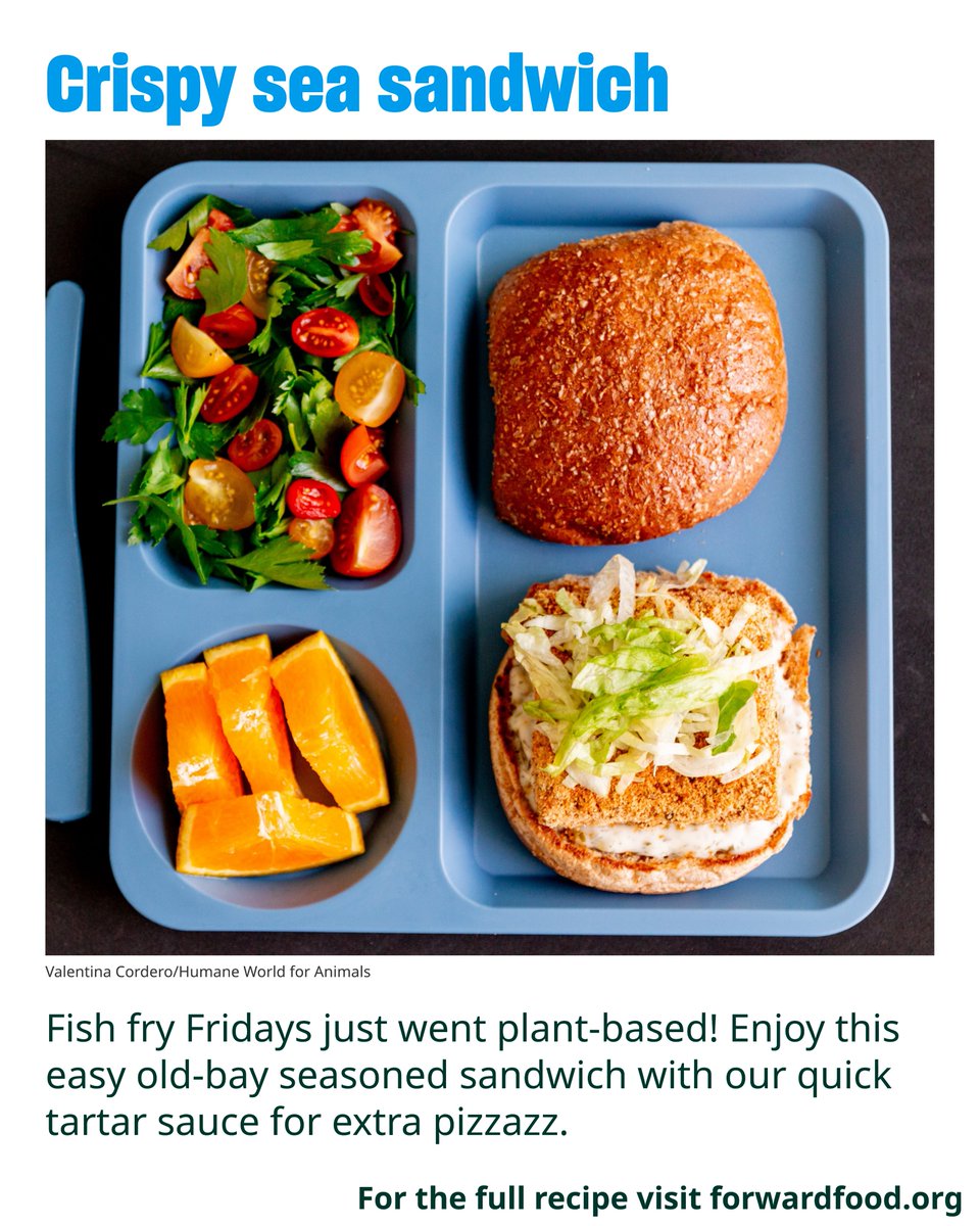 Forward Food tweet media