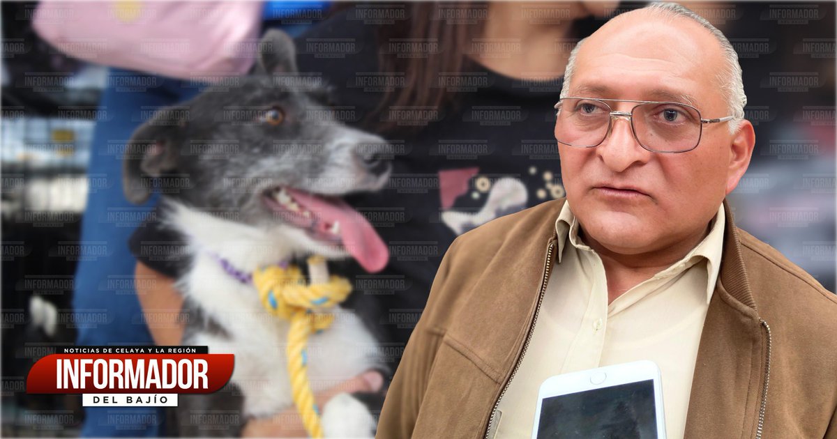 🔴 #Celaya descarta programa de chips en mascotas; crearán registro digital obligatorio 🐶 🛜 

✅ El nuevo reglamento para animales de compañía busca reemplazar la implantación de chips por una plataforma en línea con registro gratuito.

👀 Ver más 👉 informadordelbajio.com/celaya-descart…