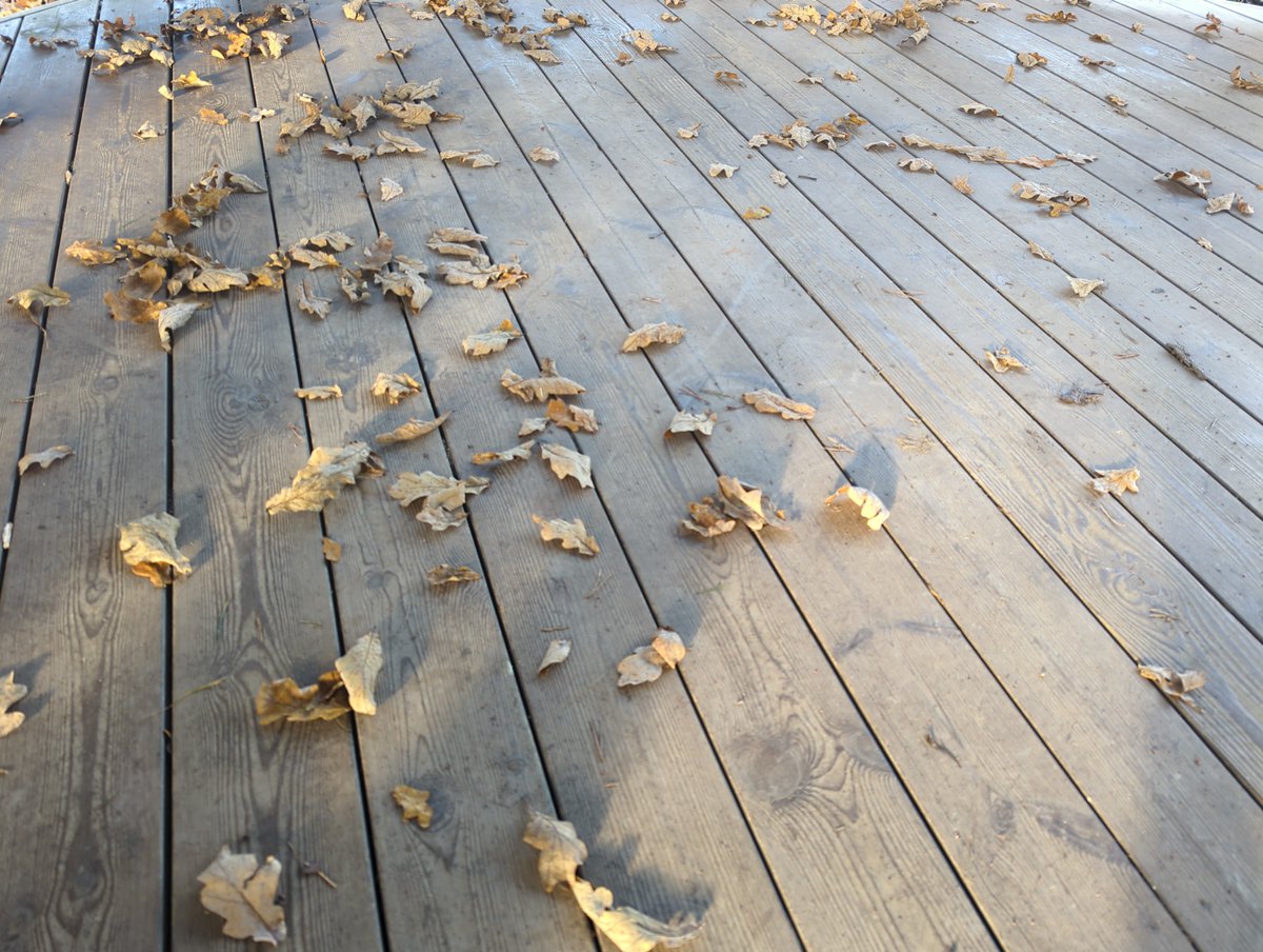 Good Morning, Everyone!

I wish you all a tranquil Tuesday...