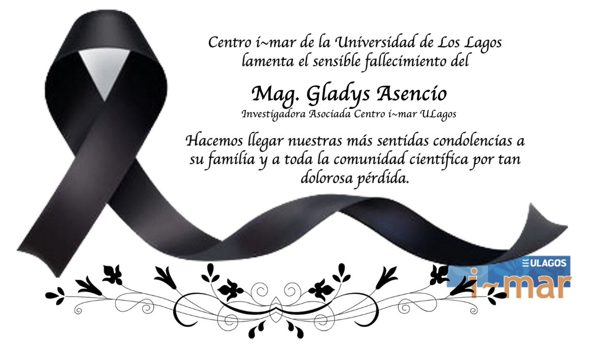 Centro i-mar tweet media