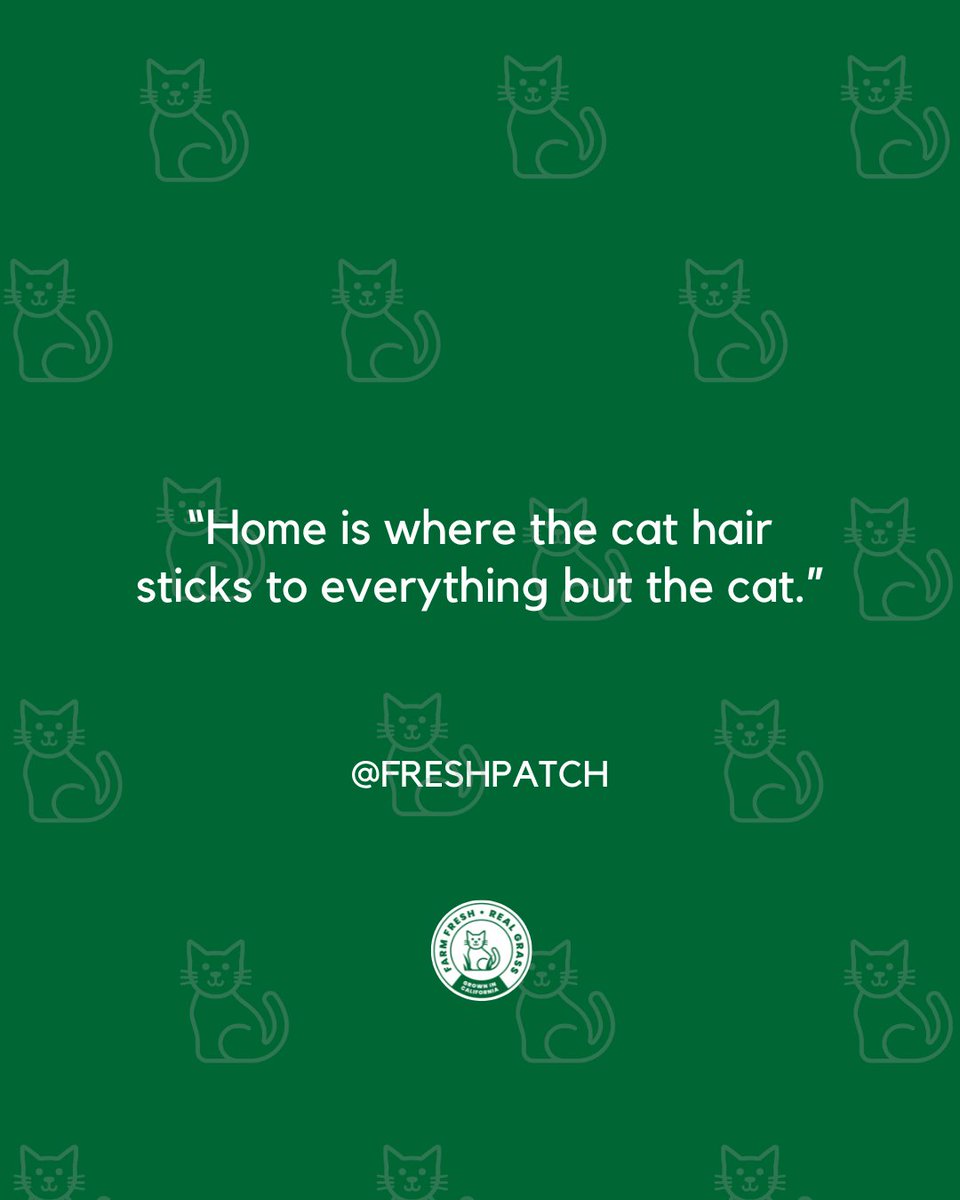 FreshPatch's tweet image. Someone pass the lint roller. 😂🐾⁠
⁠
#FreshPatch #DogParent #CatParent #PetParentProblems