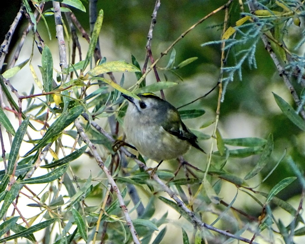 Avesquelugares tweet media