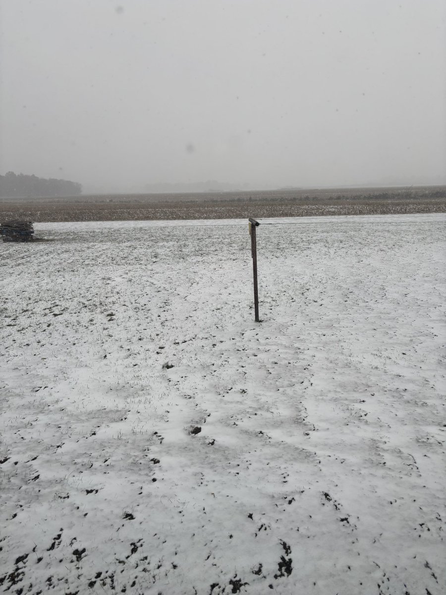 Ron Emory 🇺🇸 tweet media