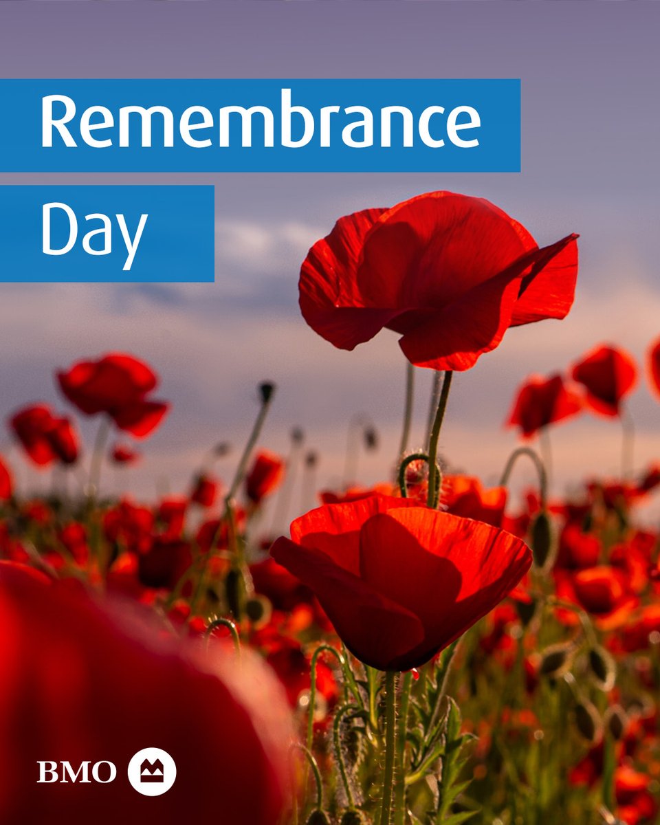 Sharon Wutke tweet media