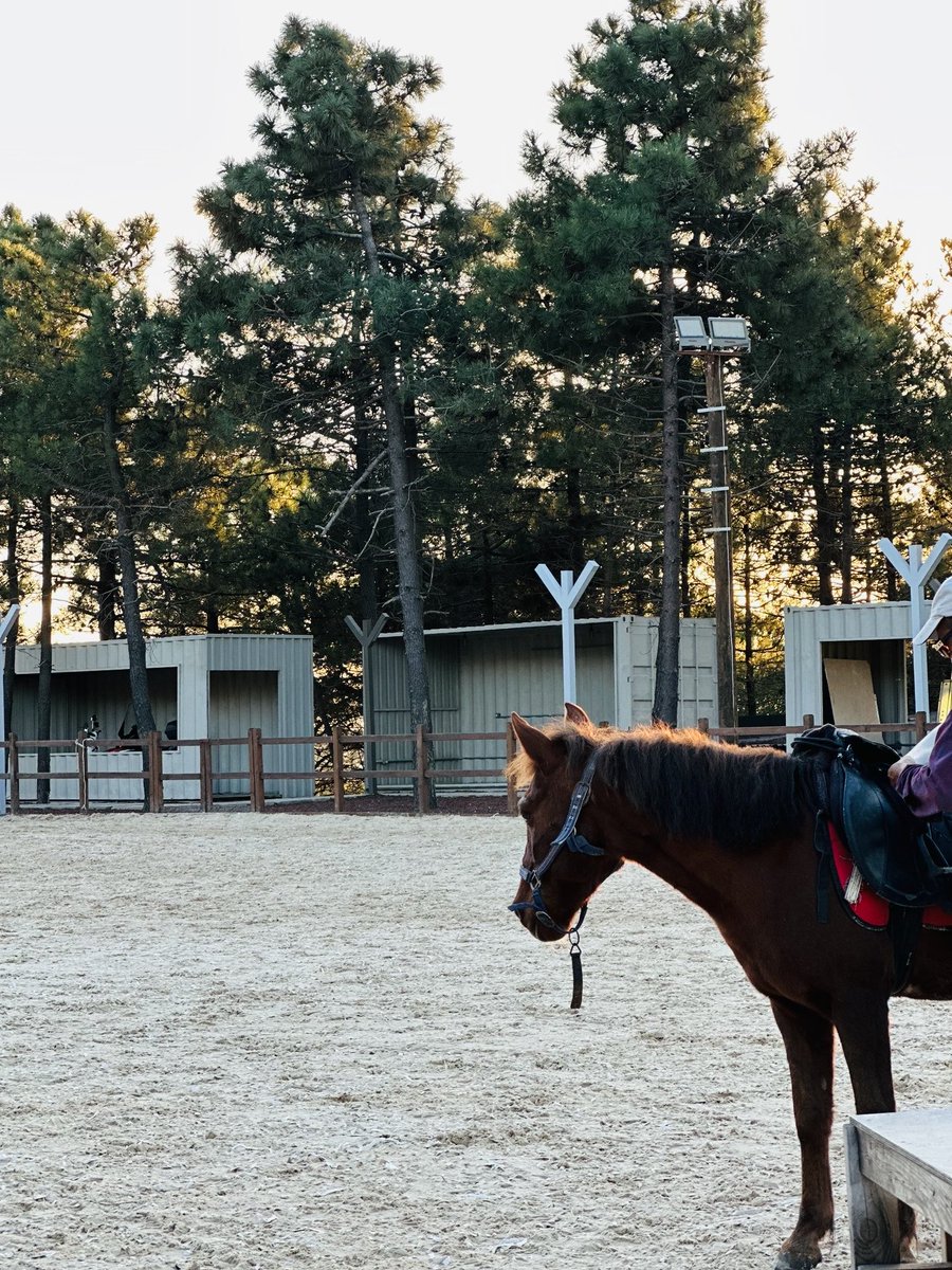 Rumeysa (@rumelagg) on Twitter photo 