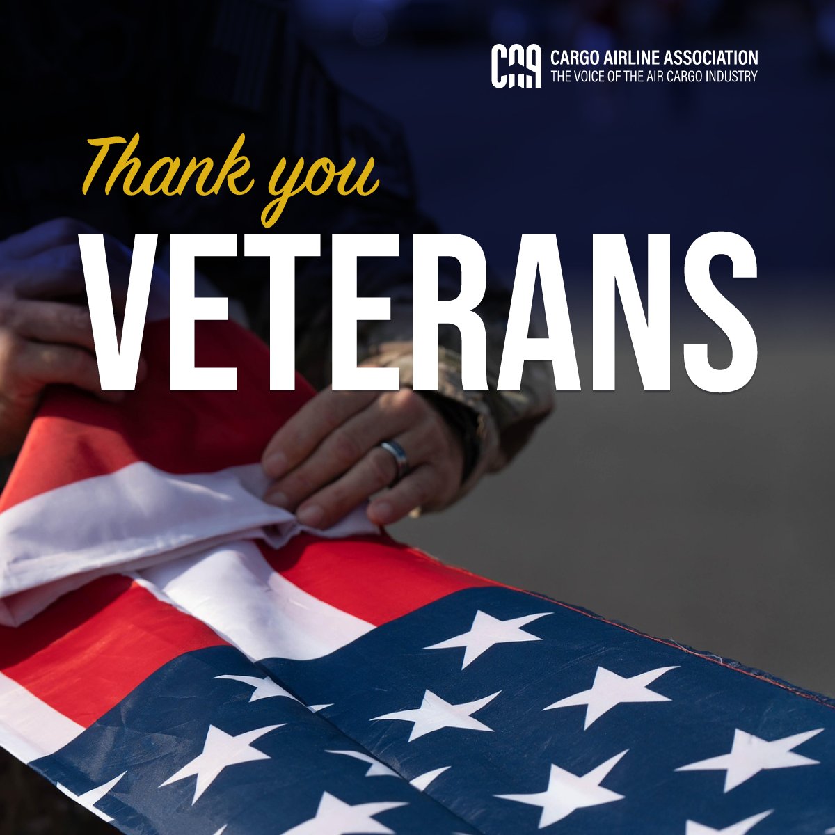 Today we honor the brave men and women who have served our country. Your courage, dedication, and sacrifice will never be forgotten.