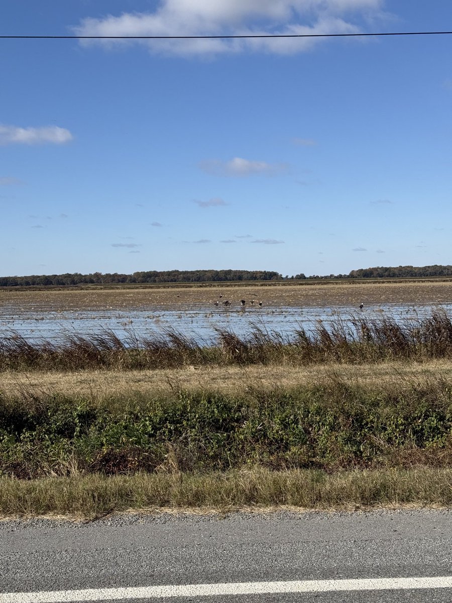 Isbell Farms tweet media