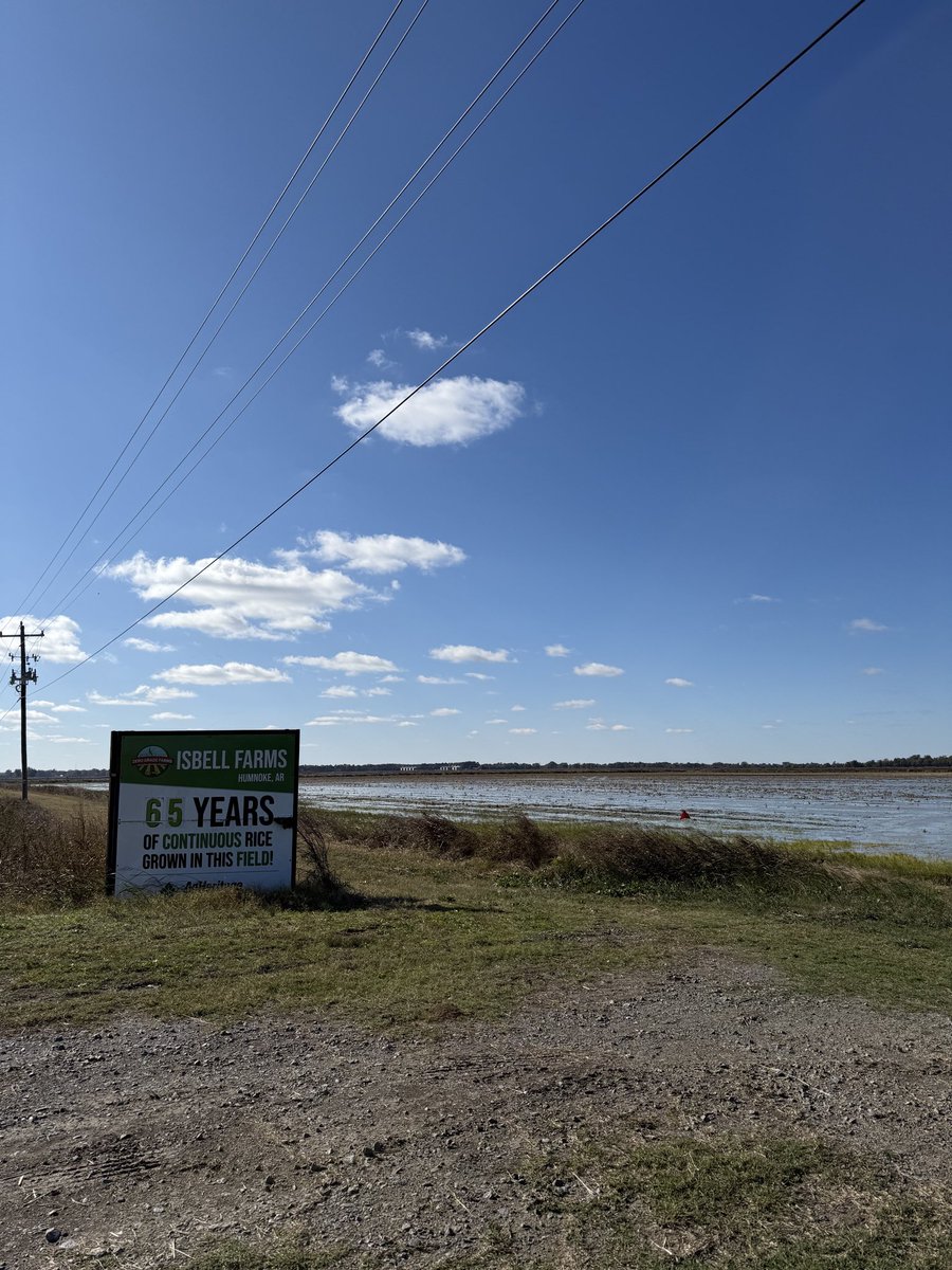 Isbell Farms tweet media