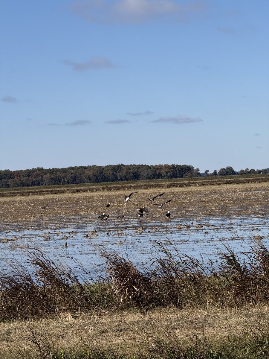 Isbell Farms tweet media