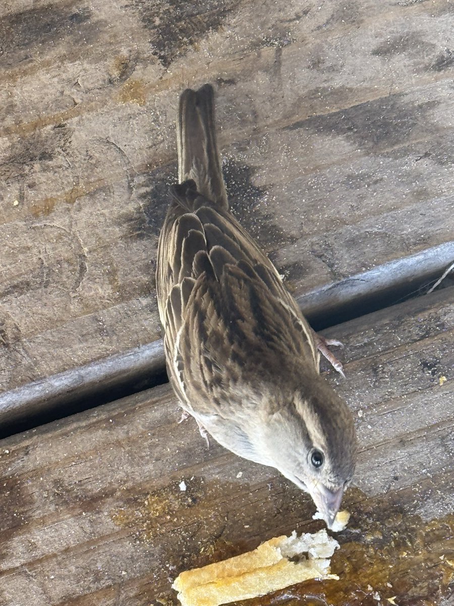 Nos miramos mutuamente …🎼🎼