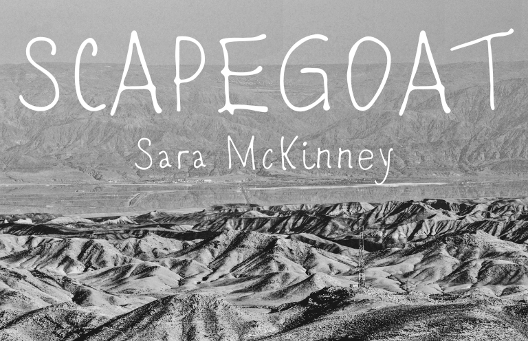 The Masters Review tweet media