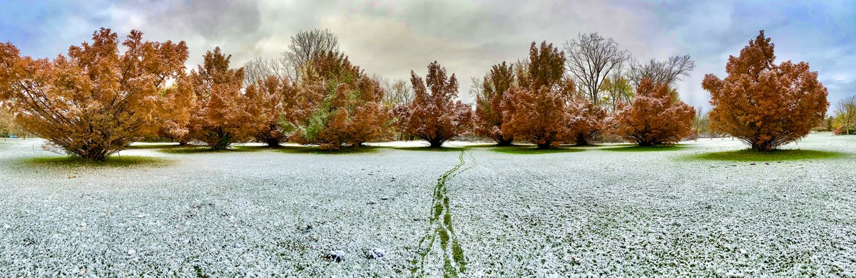 WOODTV's tweet image. What will this winter bring? See Storm Team 8's winter outlook: woodtv.com/weather/weathe… 

Photos: 
Cardinal in Grand Rapids' Huff Park - Andrea Martin
Flower in Grand Rapids - Julie Walter
Stump in Byron Center - LaVonne
Riverside Park - Jim Triezenberg

#wmiwx