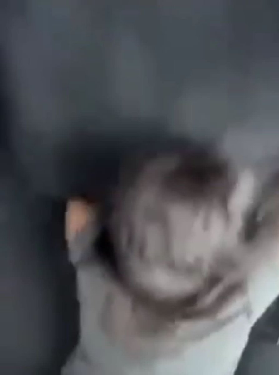 preiluvlie's tweet photo. Guess what happened next?🥶
A Thread🎥 https://t.co/HIYF6AIXJQ