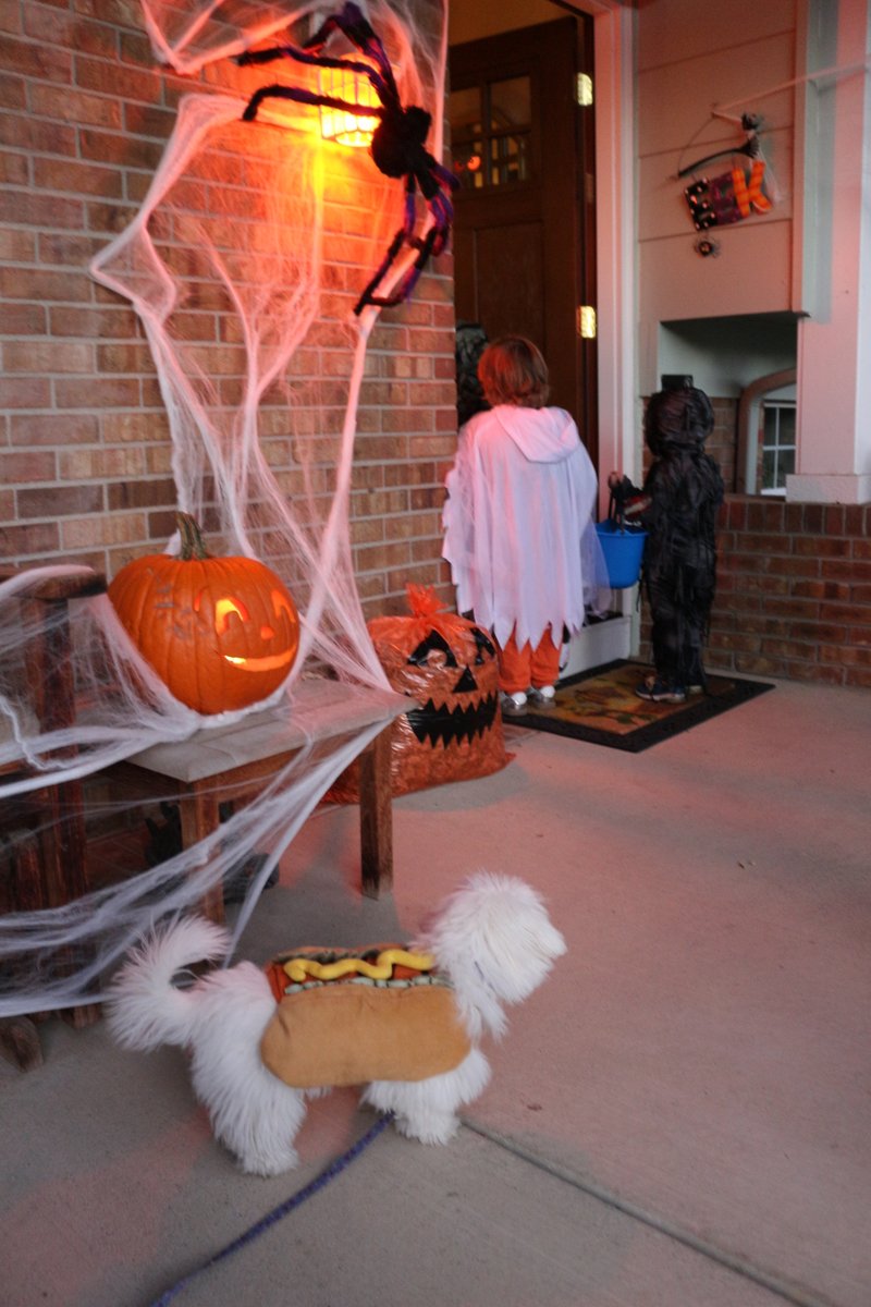 Dennis V. Perepelitsa 🇺🇦🇺🇲 tweet media