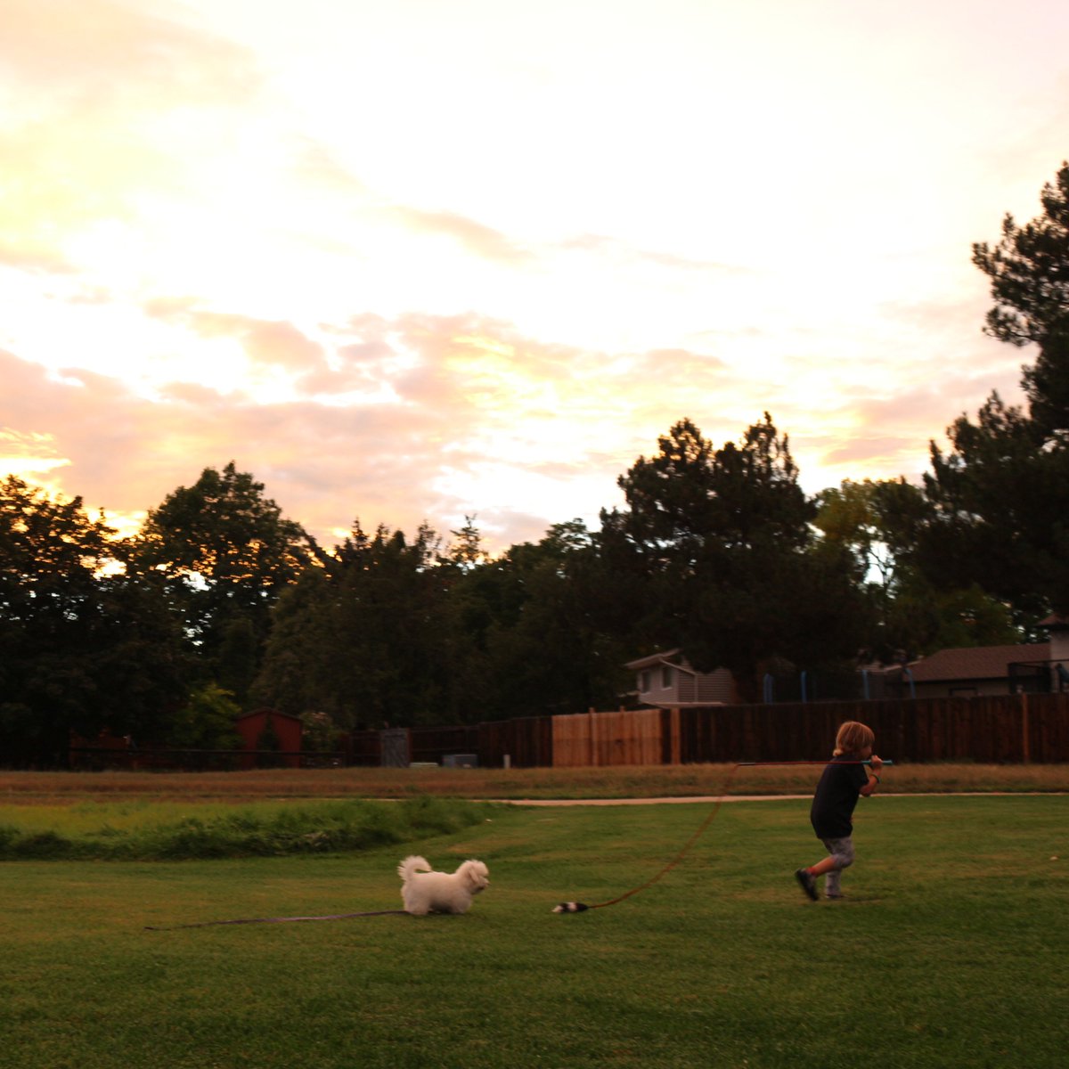 Dennis V. Perepelitsa 🇺🇦🇺🇲 tweet media