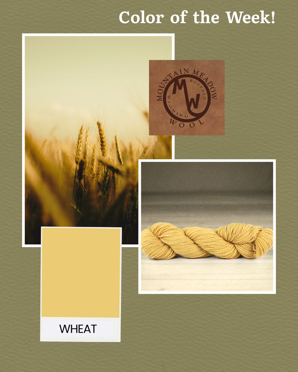 MtnMeadowWool's tweet image. Color of the Week: Wheat 🌾✨ Adds cozy glow to every stitch! Available in Saratoga, Cody, Jackson, and more 🧶🐑 #ColorOfTheWeek #AutumnVibes #KnittingInspiration #YarnLovers #USAMade