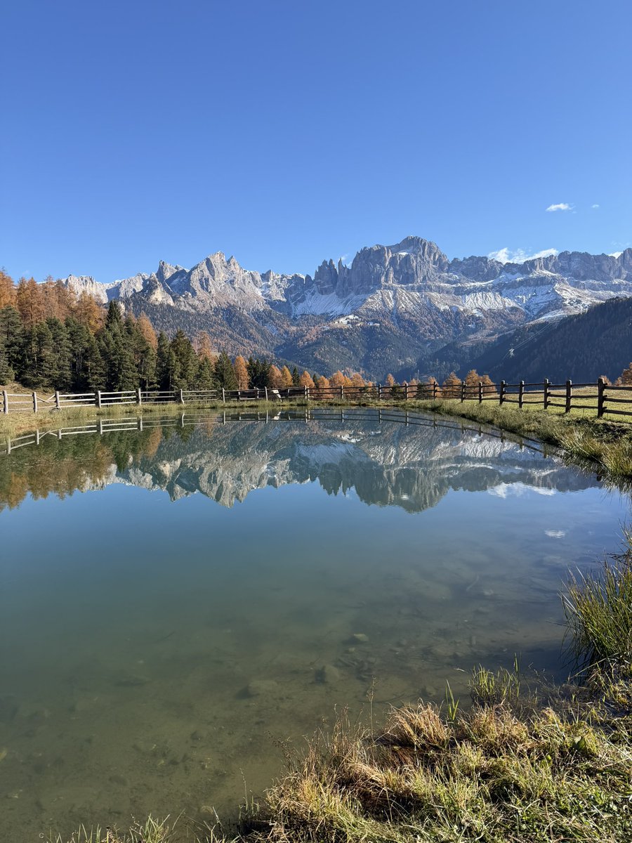 editsc's tweet image. 