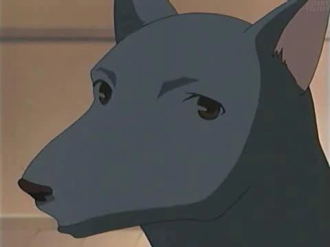 ‍ ‍ 𝙷͜𝔼𝔸┄VΞN 、𝗞͟𝗡͟𝗢͟𝗪͟𝗦 . ‍ tweet media