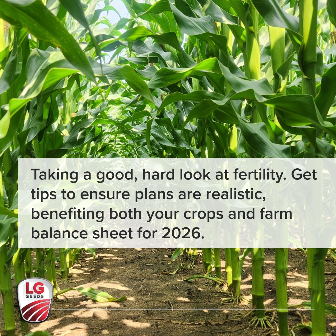 LGSeeds's tweet image. Finding the right fertility balance can make all the difference in #Grow26. Agronomist @29Tim breaks down his tips for efficient nutrient management in 2026. 
#LGSeeds #ReliablePartner #CornSeed #2026SeedGuide
bit.ly/47tTNp5