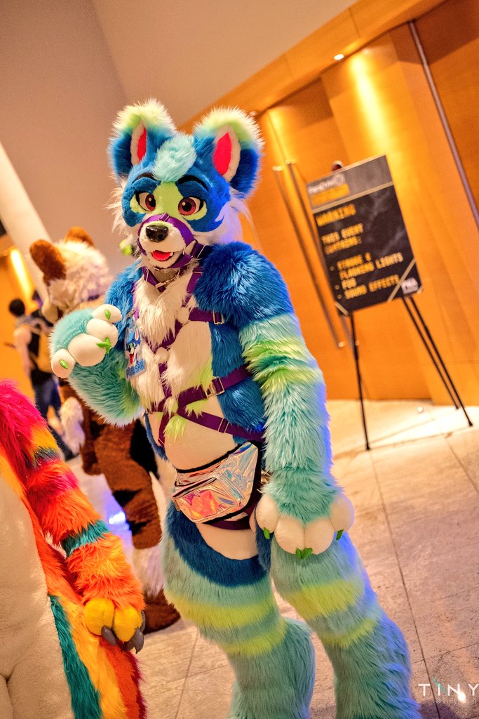 Will you go get brunch with him? 😋💙

📸 <a href="/TinyFiber/">Tiny</a>