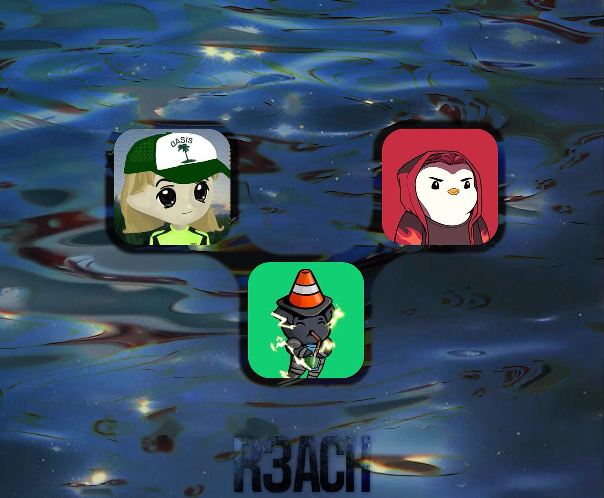 new additions to the R3ACHNTWRK.