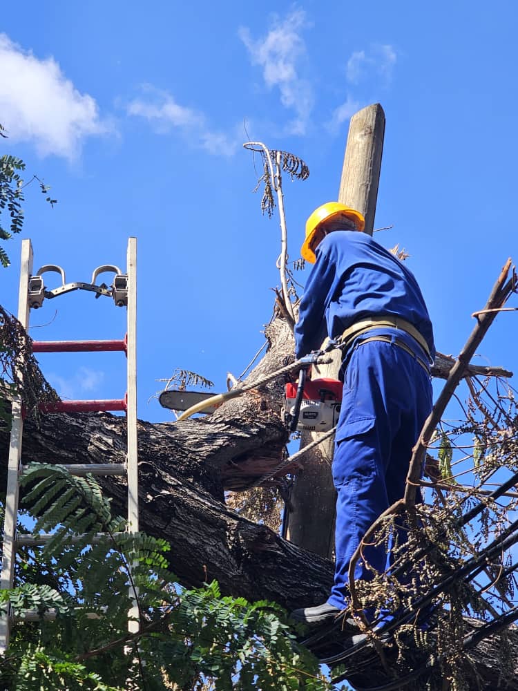 Avilacomunica's tweet photo. Entre tantas manos que hoy ayudan a #SantiagoDeCuba  a recuperarse se encuentran las de esta brigada de etecsianos avileños que no descansará hasta cumplir su noble objetivo.
#EtecsaConCuba https://t.co/u2xKNi2ibV